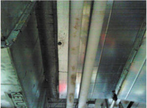 LMCT | Piping Insulation With Mold Growth