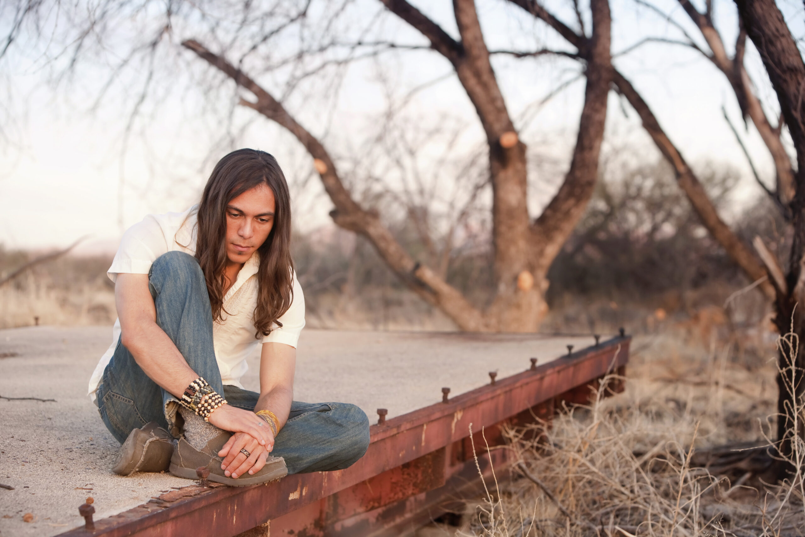 Mechanical Insulators LMCT | Mental Health Awareness | Native American 